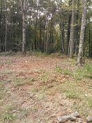 Slide of Fortner Construction and Tree Service