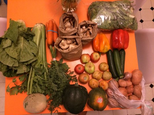 Greenhearts Family Farm Online Farmers Market by null