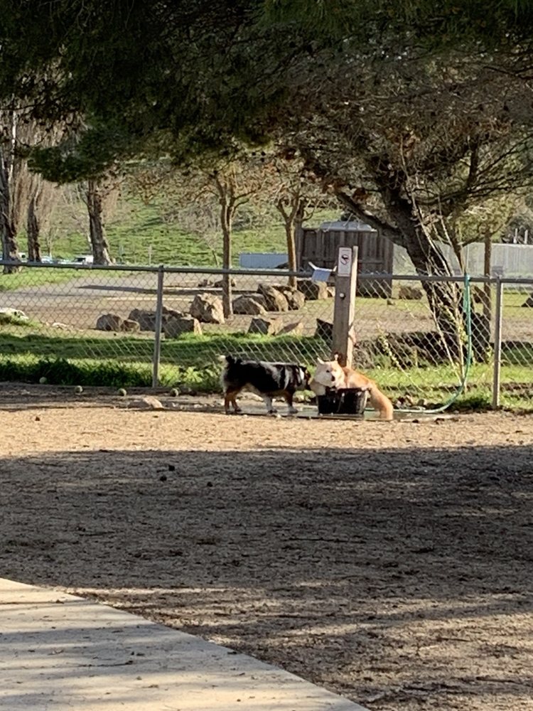 PHENIX DOG PARK Updated August 2024 32 Photos & 17 Reviews 100