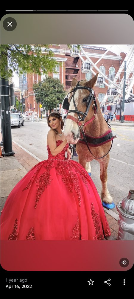 Da Woods Carriage Company - equestrian in Atlanta, GA