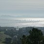 Photo of Point Tiburon Palm Tree