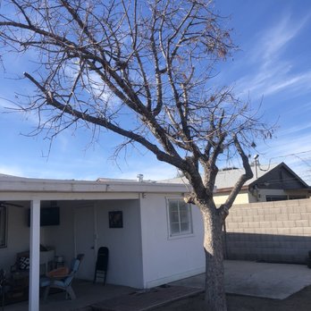 Jaguars Landscaping - After tree 3 - Landscaping Near Me - Phoenix, Arizona