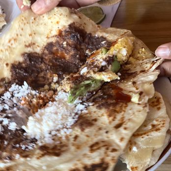 La Ceiba Restaurant - Mexican Near Me - Long Beach, California La Ceiba Restaurant - Mexican Near Me - Long Beach, California