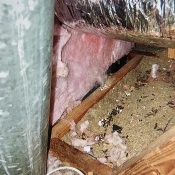 Attica Green Solution - Before the project - almost no insulation - Insulation Installation Near Me - Escondido, California Attica Green Solution - Before the project - almost no insulation - Insulation Installation Near Me - Escondido, California