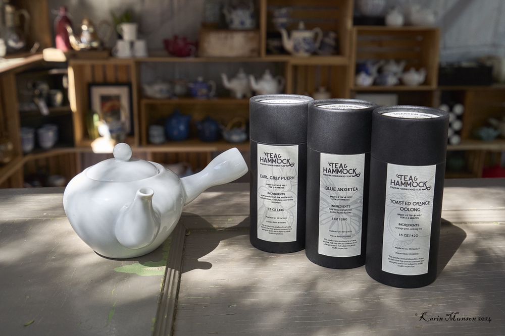 Tea and Hammock, Catalina Foothills Roadtrippers