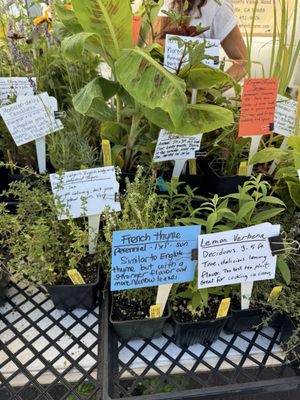 Napa Farmers Market by null