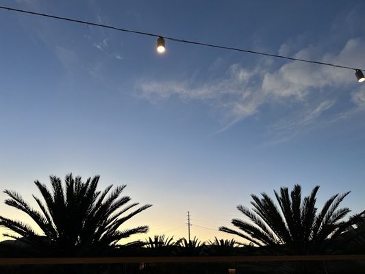 Elicit Bar & Lounge by null