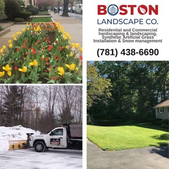Boston Landscape - a picture of a yard with tulips - Landscaping Near Me - Stoneham, Massachusetts Boston Landscape - a picture of a yard with tulips - Landscaping Near Me - Stoneham, Massachusetts