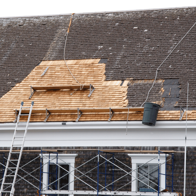 Slide of CK Restoration