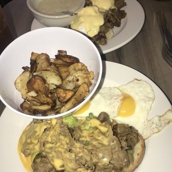 Daily Eats - New American Near Me - Tampa, Florida