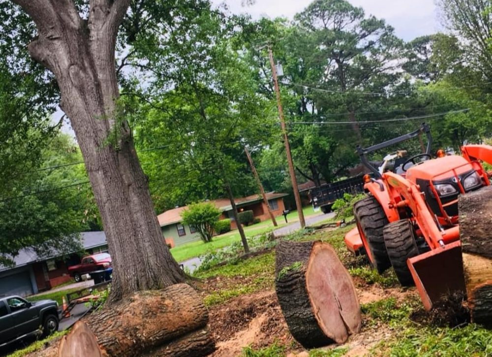 Slide of Reliable Resources