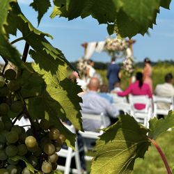 user provided LedgeStone Vineyards photo