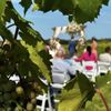 LedgeStone Vineyards gift card
