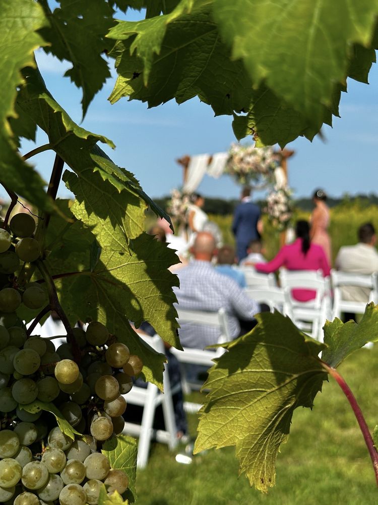 LedgeStone Vineyards Logo