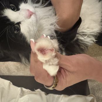 Aurora Pet Grooming - Pet Groomers Near Me - Aurora, Colorado