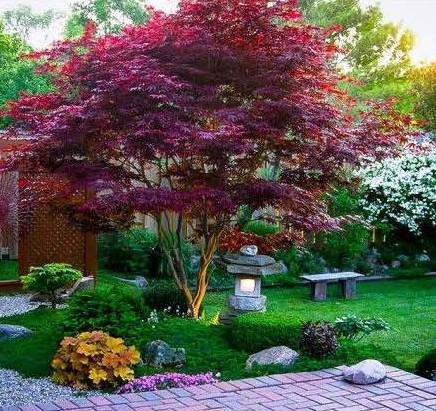 Martin's Landscaping - tree service in Wilmington, DE