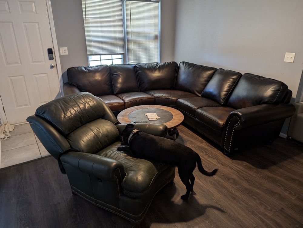 TOPNOTCH MOVING AND JUNK REMOVAL Updated September 2024 20 Photos Columbia, South