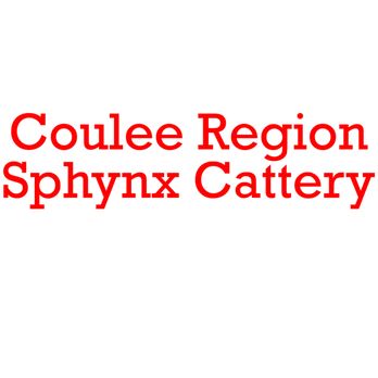 Coulee Region Sphynx Cattery - Pet Adoption Near Me - Black River Falls, Wisconsin Coulee Region Sphynx Cattery - Pet Adoption Near Me - Black River Falls, Wisconsin