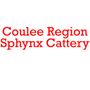 Photo of Coulee Region Sphynx Cattery