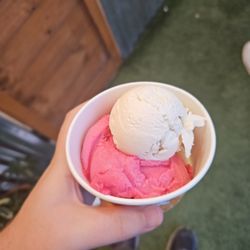 Island Pops - Two scoops. $8.50 + tax. Soursop (very good) and Sorrel Rum Sorbet (excellent)
