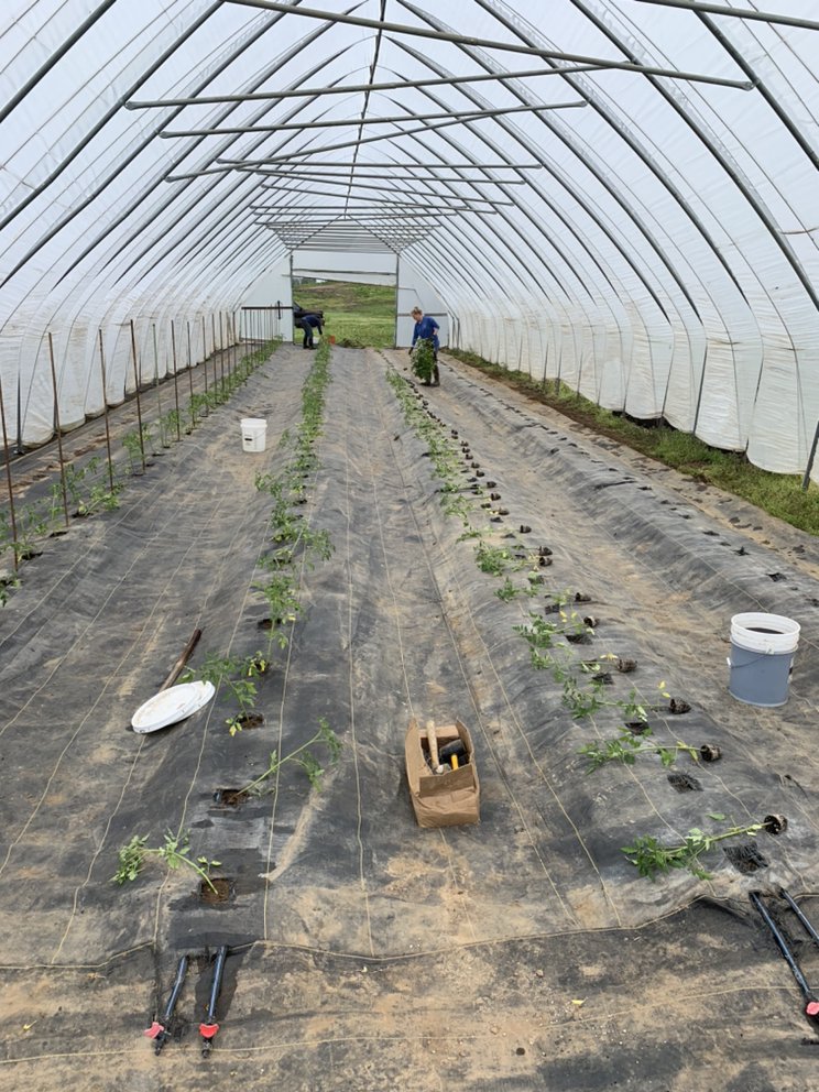 TRIPLE J FARM Updated July 2024 11 Photos 1524 McClelland Cir