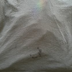 The Laundry