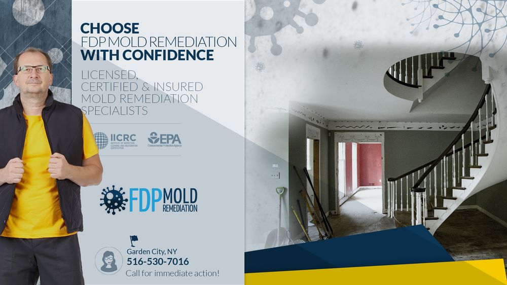 FDP Mold Remediation of Garden City - mold inspector in Garden City, NY