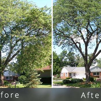 Olayo Landscaping - Landscaping Near Me Olayo Landscaping - Landscaping Near Me