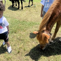Dorey Park Farmer's Market