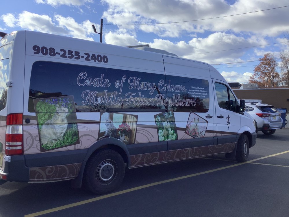 COATS OF MANY COLOURS MOBILE FELINE HEALTHCARE Updated August 2024