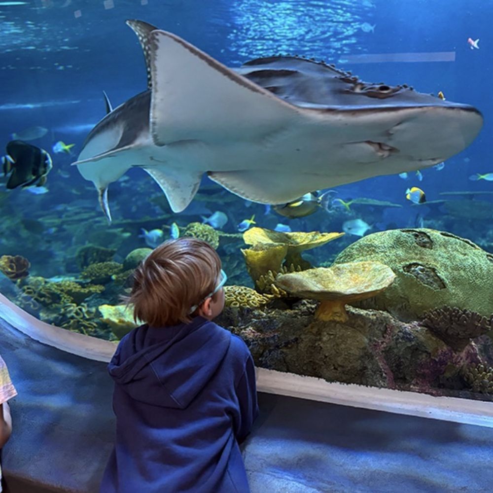 Seattle Aquarium - Aquariums Near Me - Seattle, Washington Seattle Aquarium - Aquariums Near Me - Seattle, Washington