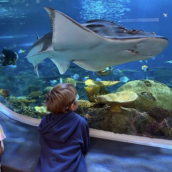 Seattle Aquarium - Aquariums Near Me - Seattle, Washington