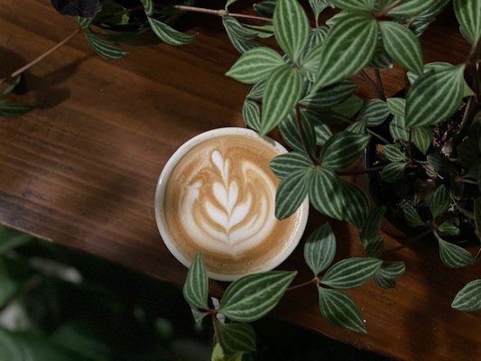 Undergrowth Coffee by null
