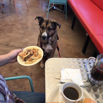 The Owl Cafe - Rocko and his cheeseburger - Diners Near Me - Albuquerque, New Mexico The Owl Cafe - Rocko and his cheeseburger - Diners Near Me - Albuquerque, New Mexico