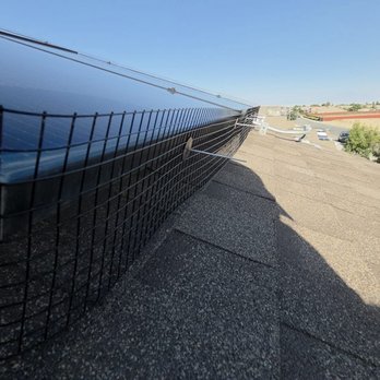 The Alpha - Bird guard around the solar panels - Solar Panel Cleaning Near Me - Bakersfield, California The Alpha - Bird guard around the solar panels - Solar Panel Cleaning Near Me - Bakersfield, California