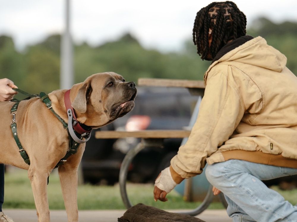 MuttWorks In The Barklatex