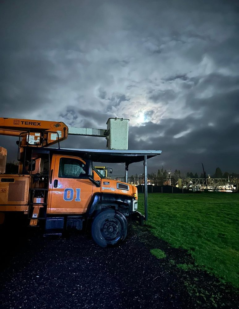 NWB Tree - tree service in Aumsville, OR