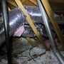 Photo of Cali  HVAC