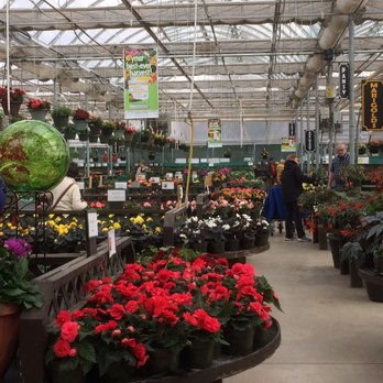 The Root Seller - Nurseries & Gardening Near Me - Edmonton, Alberta The Root Seller - Nurseries & Gardening Near Me - Edmonton, Alberta
