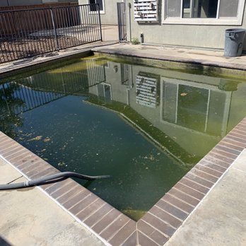The Pool Guyz - Another Pool that was neglected on a vacant house! - Pool Cleaners Near Me The Pool Guyz - Another Pool that was neglected on a vacant house! - Pool Cleaners Near Me