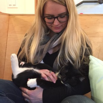 NEKO: A Cat Cafe - Sake the kitten - Themed Cafes Near Me - Seattle, Washington NEKO: A Cat Cafe - Sake the kitten - Themed Cafes Near Me - Seattle, Washington