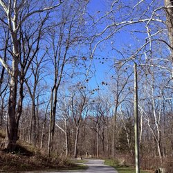Arbuckle Acres Park - Tree lined trail