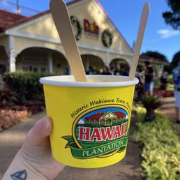 Dole Whip @ the Dole Plantation Dole Whip @ the Dole Plantation