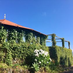 Restaurante Fornos de Lava - The restaurant from the side.
