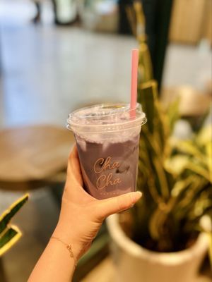 Cha Cha Matcha (CENTURY CITY) by null