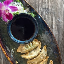 Vegetable Gyoza Vegetable Gyoza