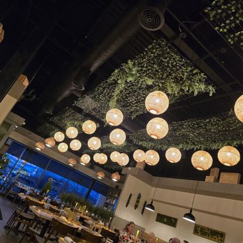 Social Inn - Cocktail Bars Near Me - Glenview, Illinois