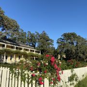 BELTANE RANCH - 186 Photos & 85 Reviews - 11775 Sonoma Hwy, Sonoma, CA ...