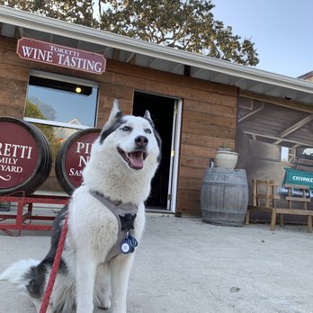 Toretti Family Vineyard - Alley front. - Wineries Near Me - Los Olivos, California Toretti Family Vineyard - Alley front. - Wineries Near Me - Los Olivos, California