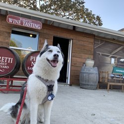 Toretti Family Vineyard - Alley front.